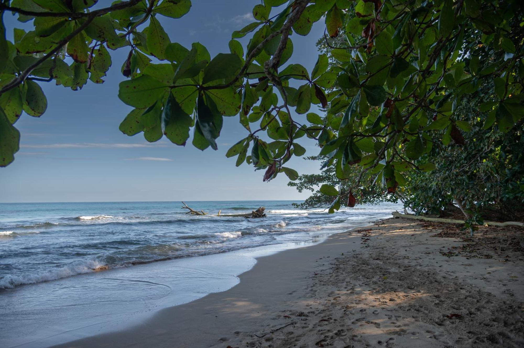 Le Cameleon Boutique Hotel Puerto Viejo de Talamanca Exteriér fotografie
