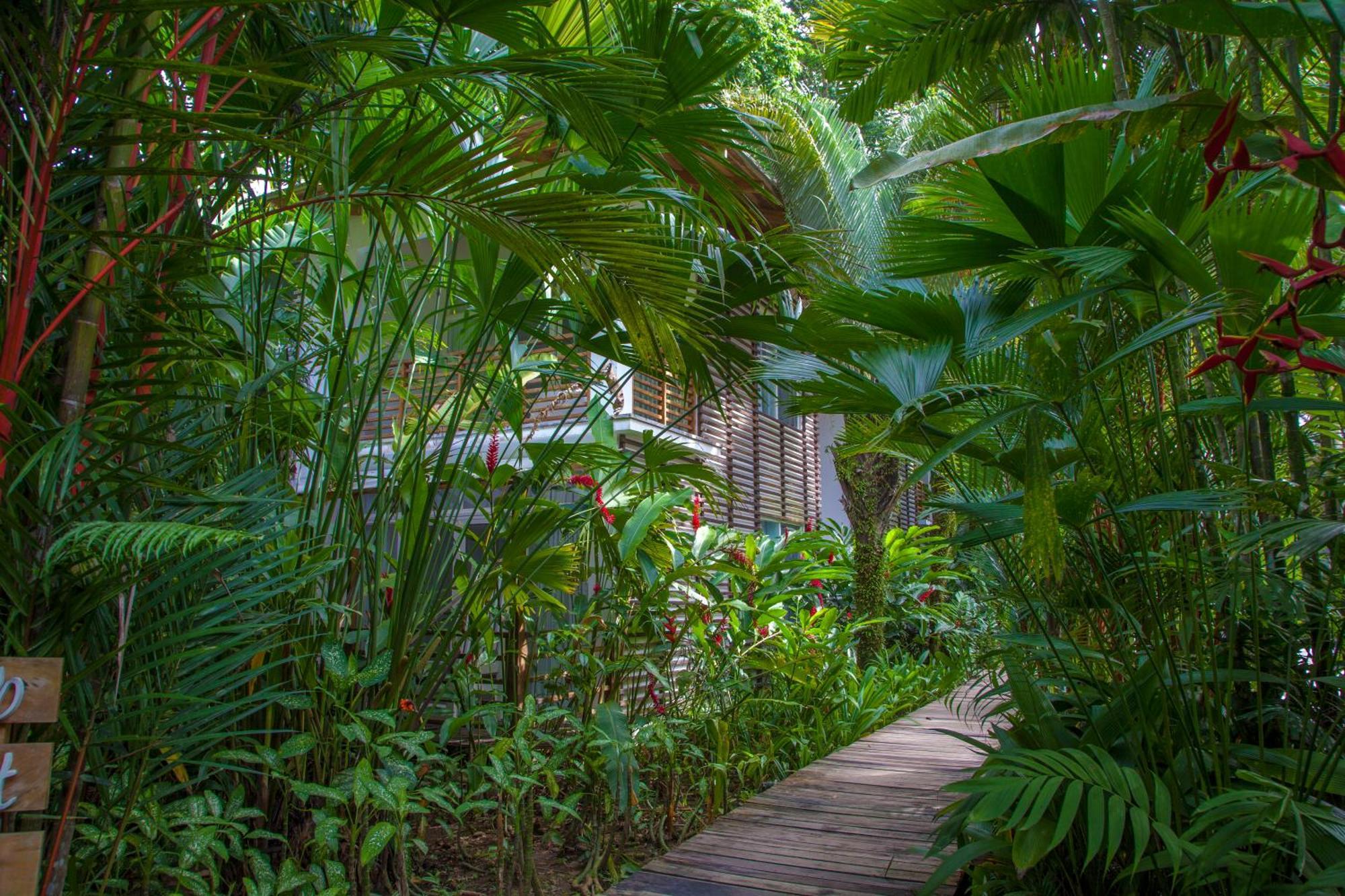 Le Cameleon Boutique Hotel Puerto Viejo de Talamanca Exteriér fotografie