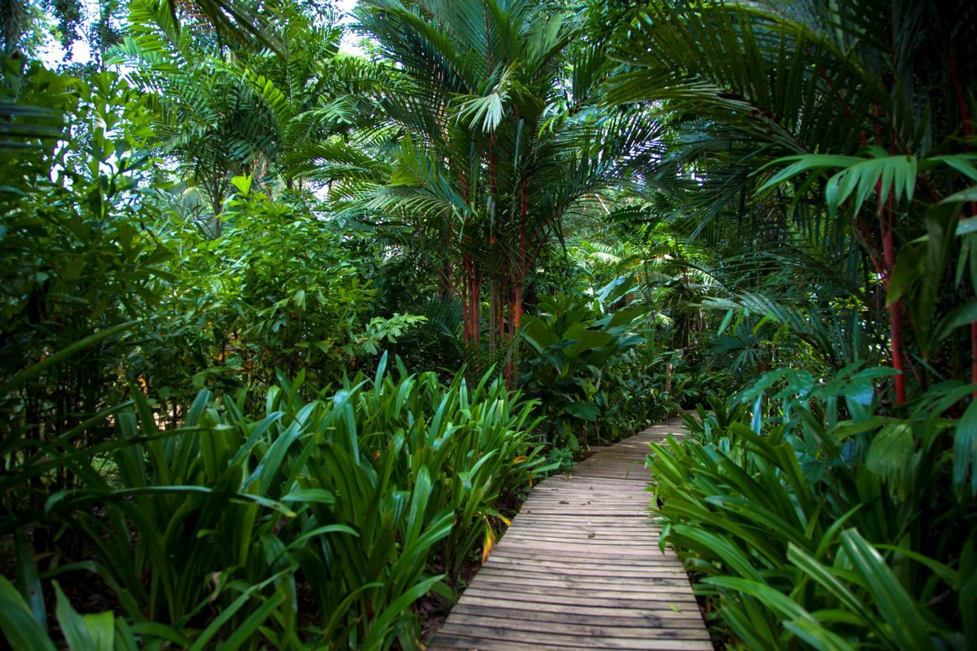 Le Cameleon Boutique Hotel Puerto Viejo de Talamanca Exteriér fotografie