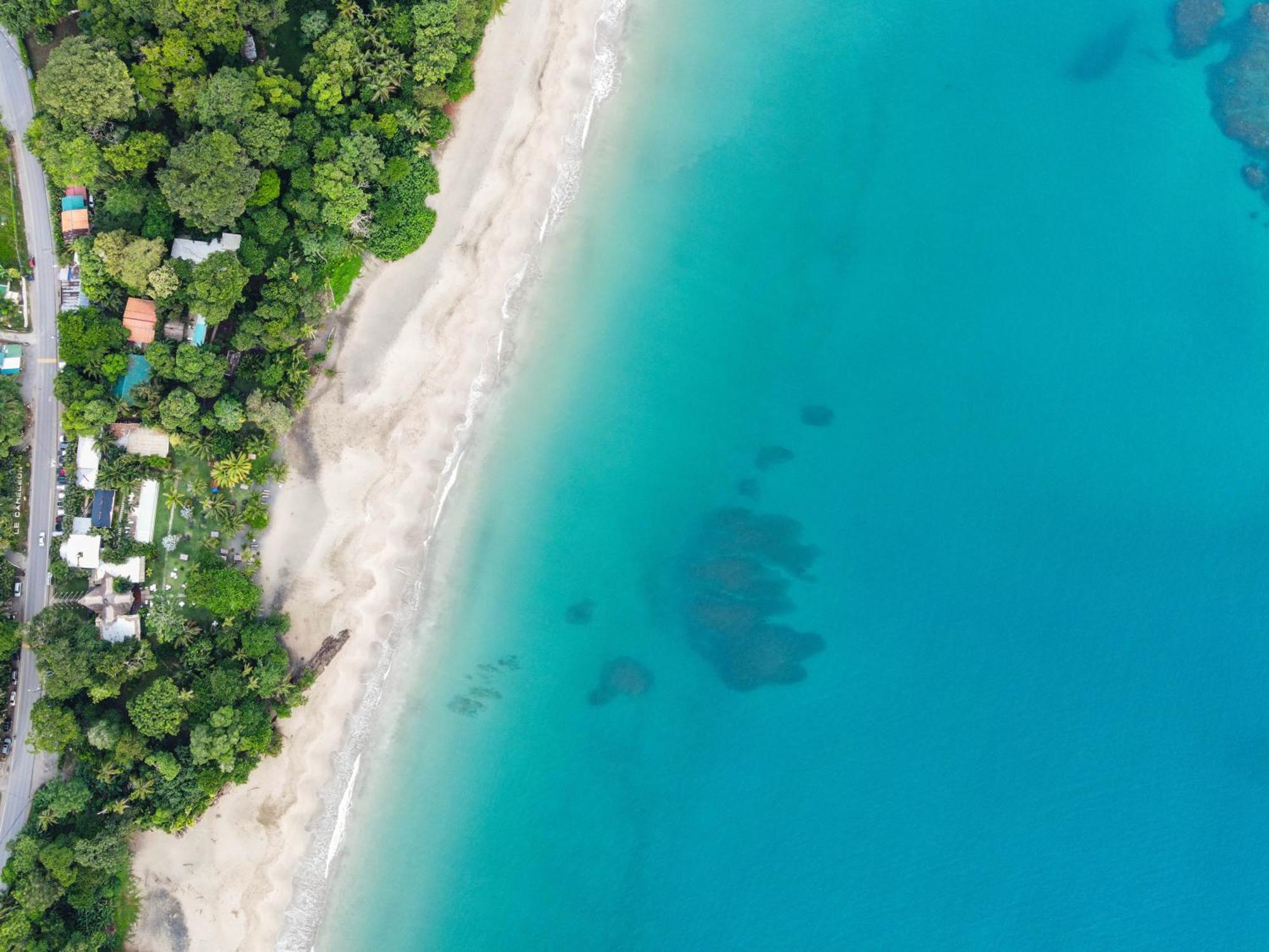 Le Cameleon Boutique Hotel Puerto Viejo de Talamanca Exteriér fotografie
