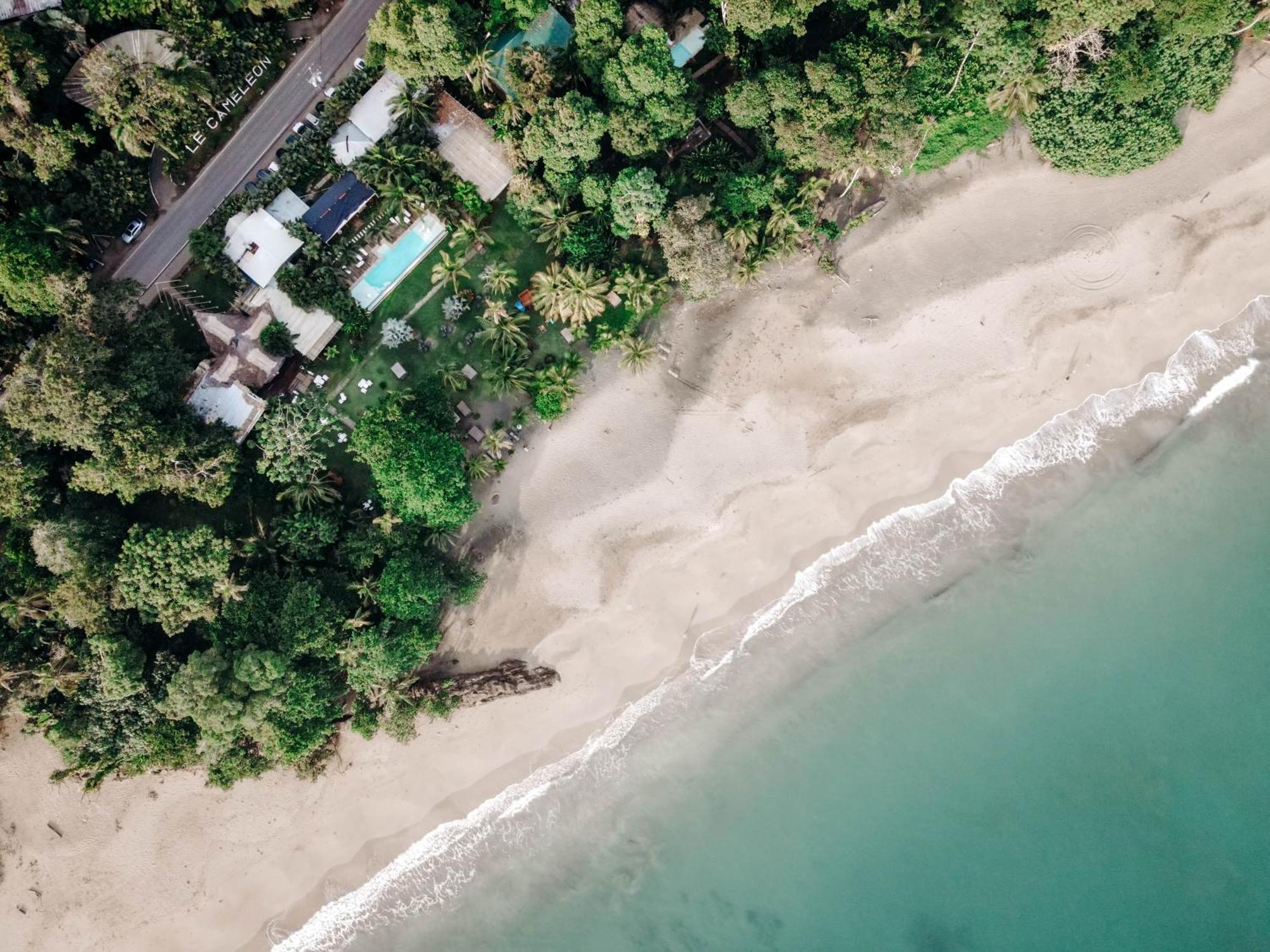 Le Cameleon Boutique Hotel Puerto Viejo de Talamanca Exteriér fotografie