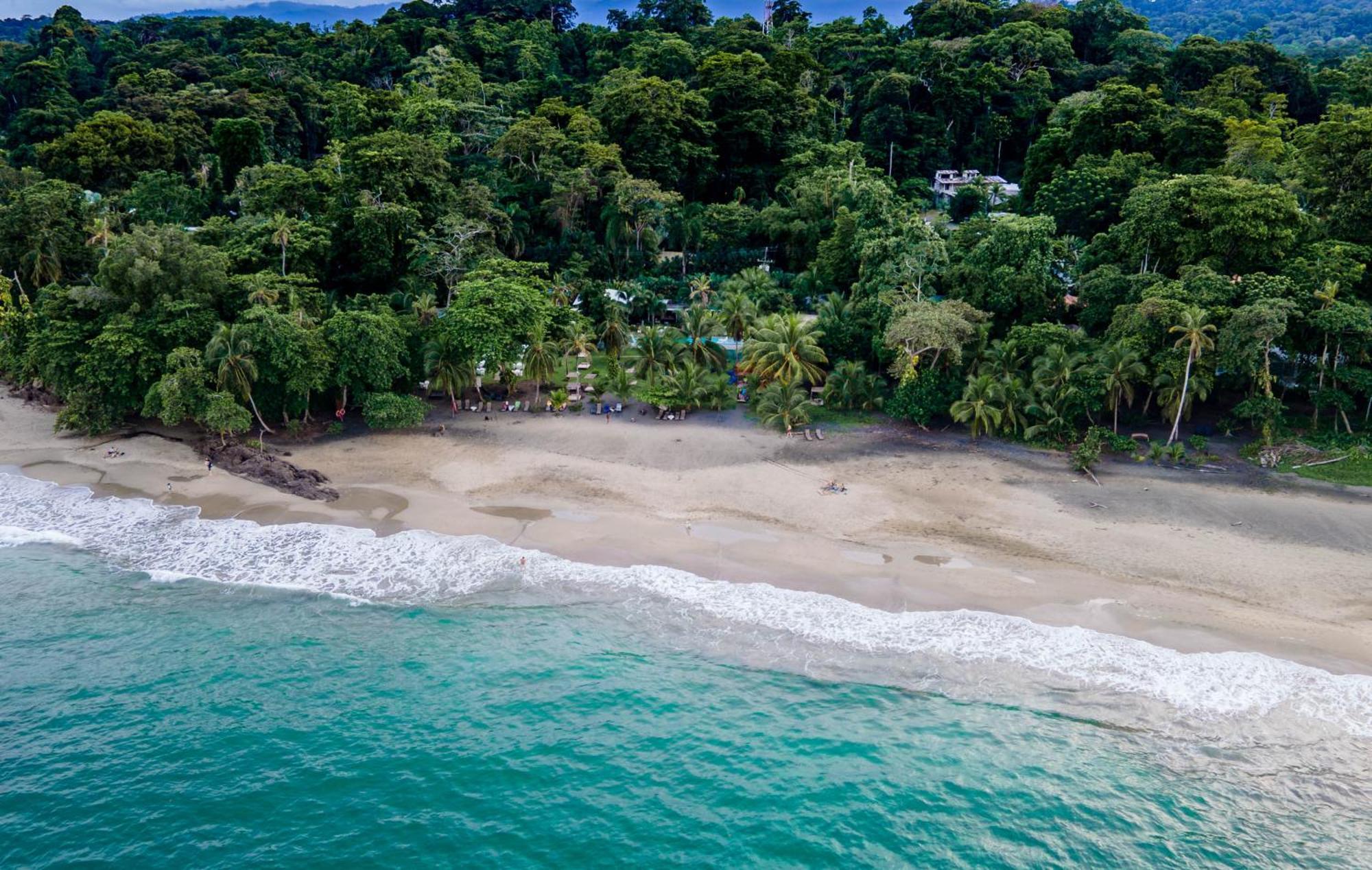 Le Cameleon Boutique Hotel Puerto Viejo de Talamanca Exteriér fotografie